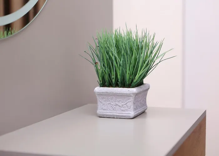 Emar 酒店 地拉那